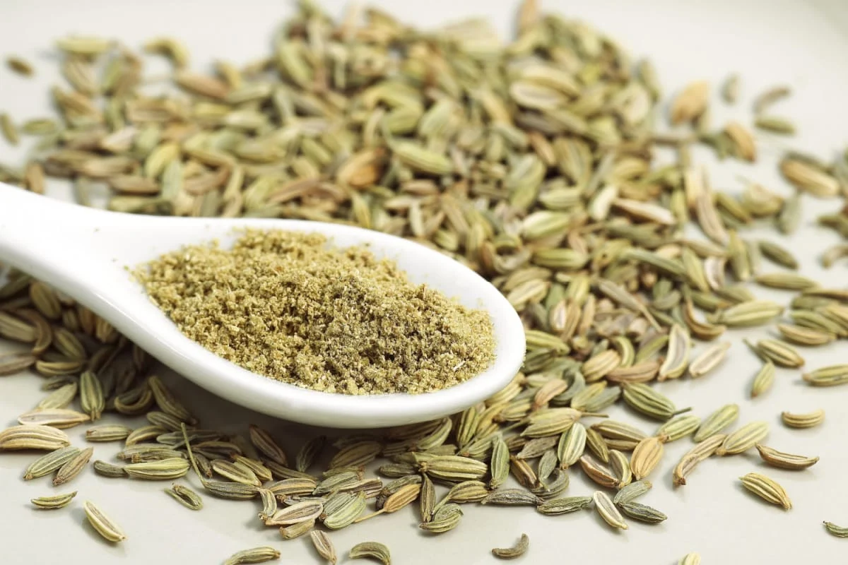 Fennel Dalia