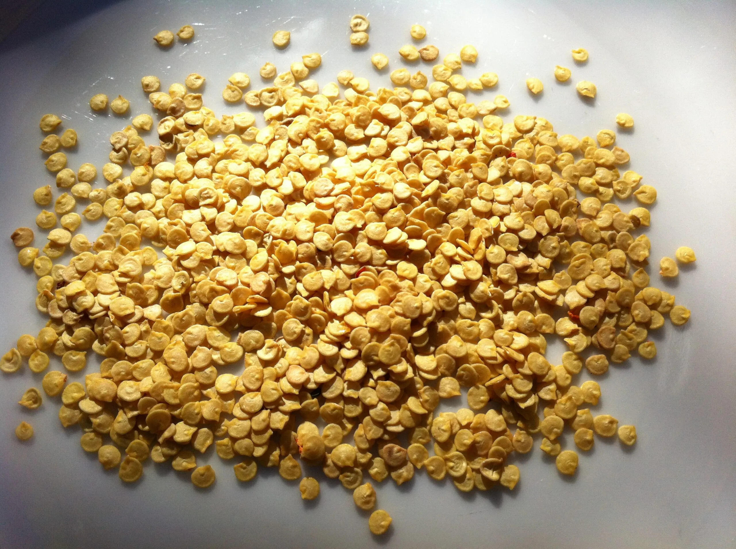 Chilli Seeds Oilless (Coarse)